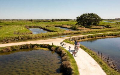 Top camping Saint Hilaire de Riez