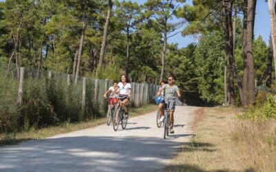 Camping 4 étoiles proche plage Saint Hilaire de Riez