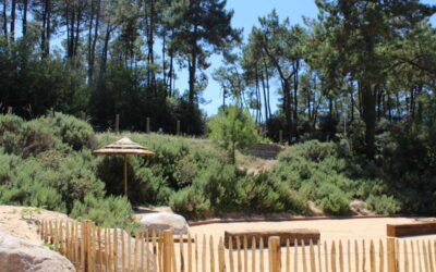 Camping pas cher Saint hilaire de riez