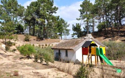 Camping animé Saint Hilaire de Riez